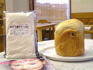 1009ブドウ食パン1斤