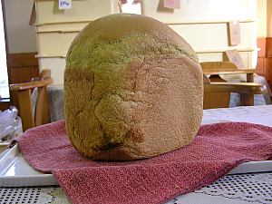 1525緑茶食パン1.5斤
